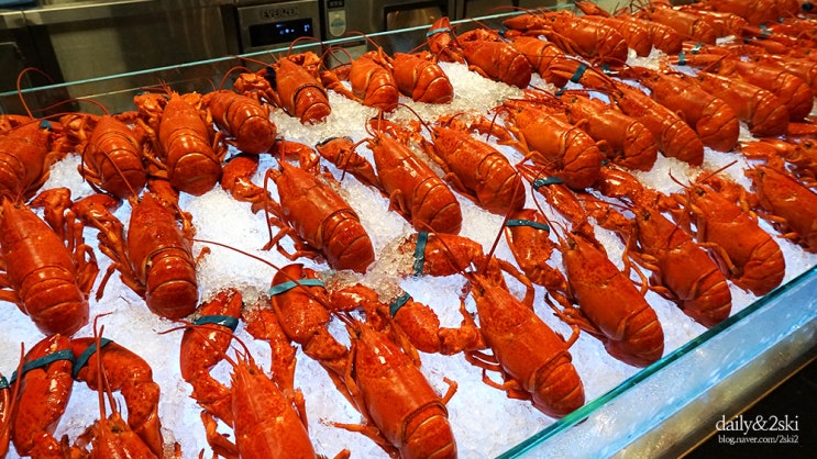  부산 기장 바이킹스워프 동부산점 :: 미식일상 랍스터 뷔페 가격, 예약정보