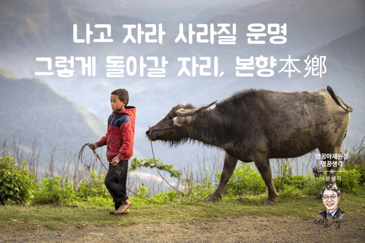  본향, 내가 돌아갈 자리