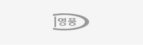  영풍정밀 주가 분석 [정치테마주를 벗어나 그린에너지관련주로 변신 시도]