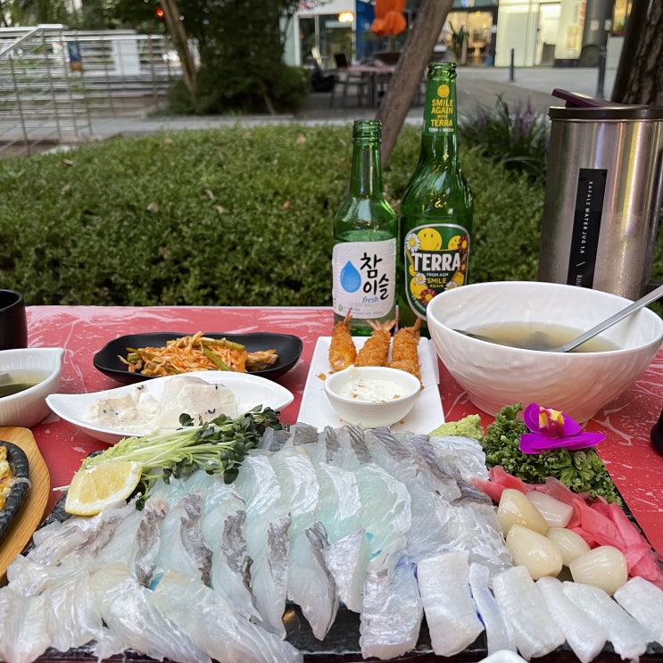  [문정역 횟집] 문정법조타운 회요일_노상에서 즐기는 두툼한 사시미 맛집