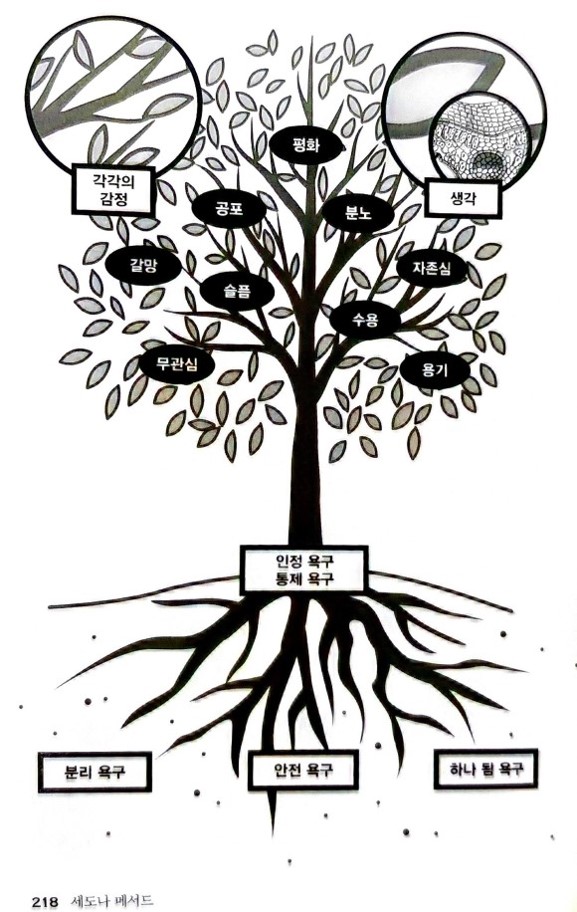  나의 모든 한계는 상상입니다. 세도나 메서드의 근원적인 욕구 흘려보내기.