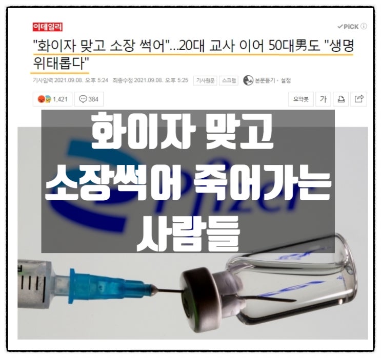화이자 맞고 소장이 썩어(괴사) 죽어가는 사람들 화이자 맞고 소장이 썩어(괴사) 죽어가는 사람들
