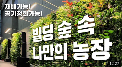  상상이 현실로! 미래형 도시농업 '스마트팜'을 만나다