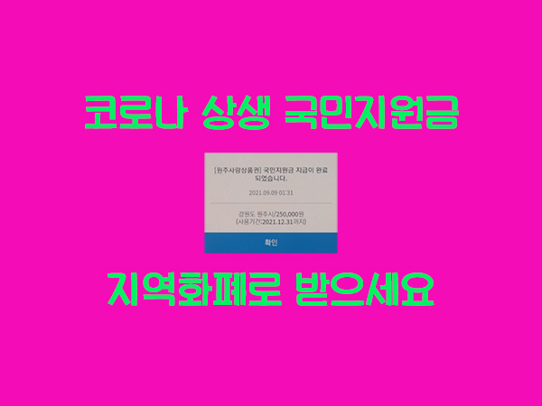 코로나 상생 국민지원금(재난지원금)은 지역화폐로 받는 법 : 원주사랑상품권 가능 /강원상품권 불가능