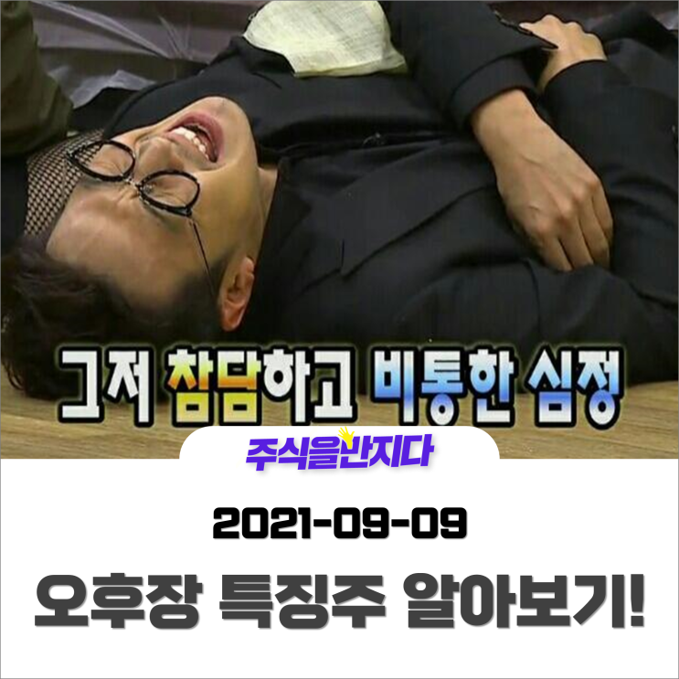  [오후장 특징주] 네이버·카카오 과대 낙폭 속 안정적인 개별종목의 재료는?