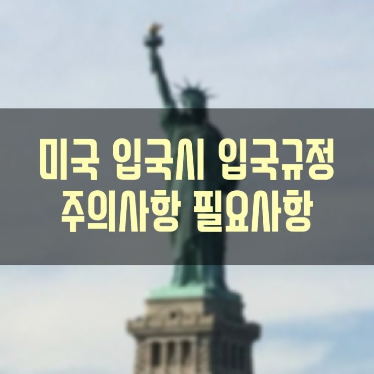 미국 여행 출장 친지방문 입국시 주의사항 및 입국규정