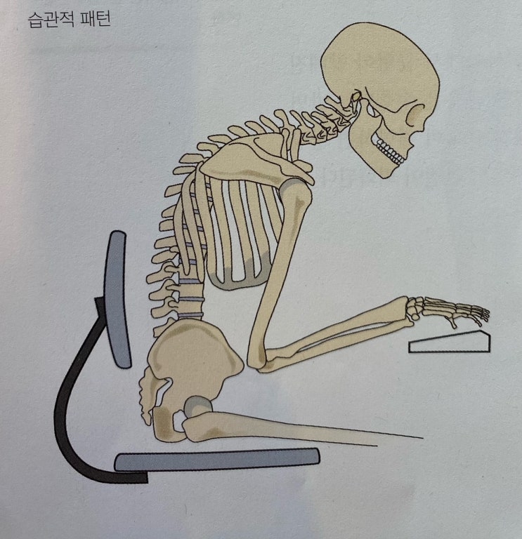 [이수역필라테스] 자세 불균형을 초래하는 원인 관련 편