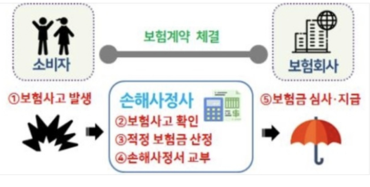 보험사 편드는 손해사정사에 울분… "이제 소비자가 직접 선임하세요"