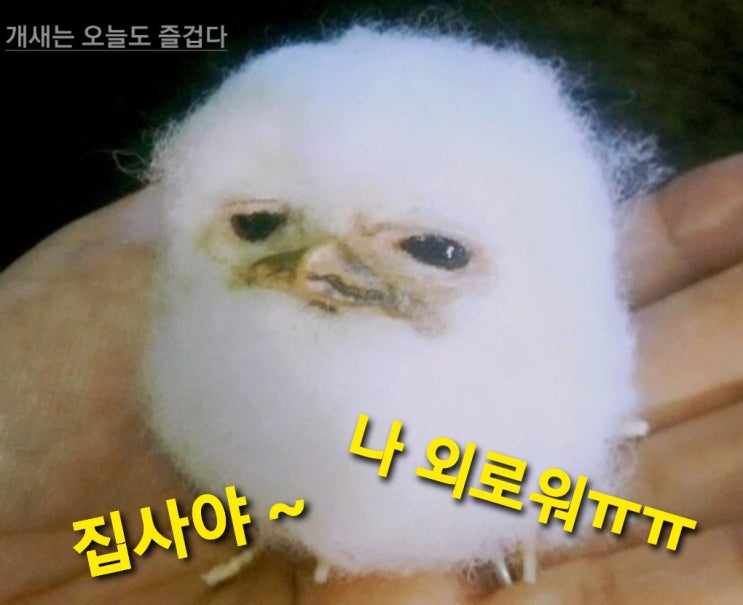  합사의 기술