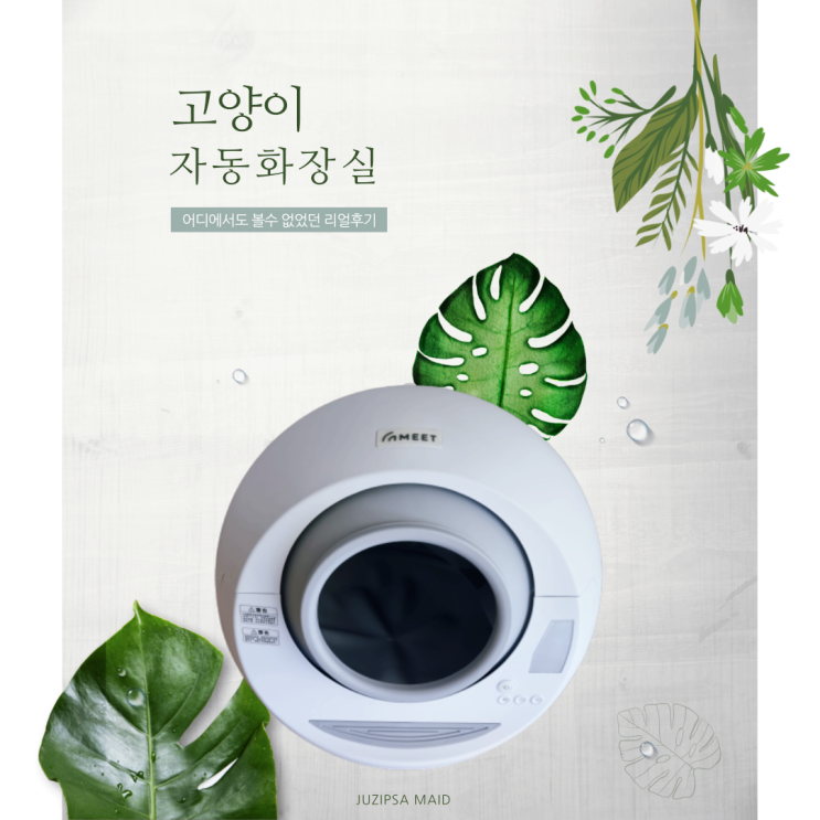 고양이 자동 화장실 사용 후기와 간편하게 청소하는 방법