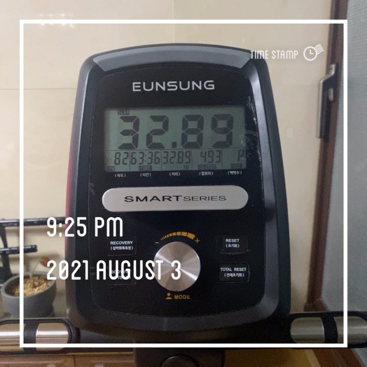  2021년 8월 운동 기록