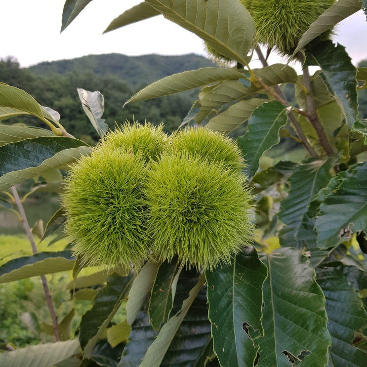  생각나는 노래