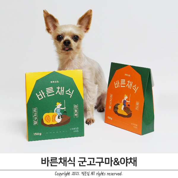 강아지노즈워크간식 훈련용간식을 찾는다면 반려소반 강아지노즈워크간식 훈련용간식을 찾는다면 반려소반