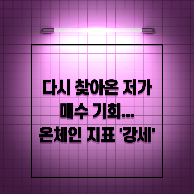 [에임리치] 다시 찾아온 저가 매수기회…온체인 지표 ‘강세’ 예고