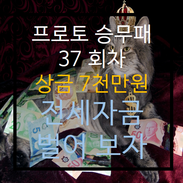  프로토 승무패 37회차 경기 추천