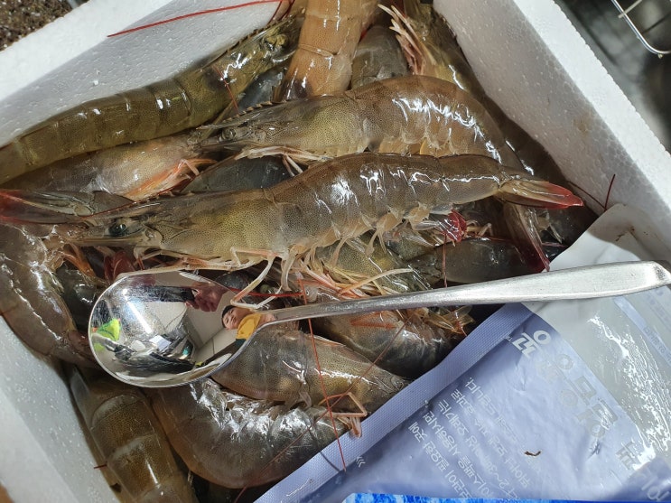 구봉정 구봉양식장 왕새우 소금구이 포장 계절 집에서 소금구이 구봉도 대부도 왕새우 대하 차이 구봉정 구봉양식장 왕새우 소금구이 포장 계절 집에서 소금구이 구봉도 대부도 왕새우 대하 차이