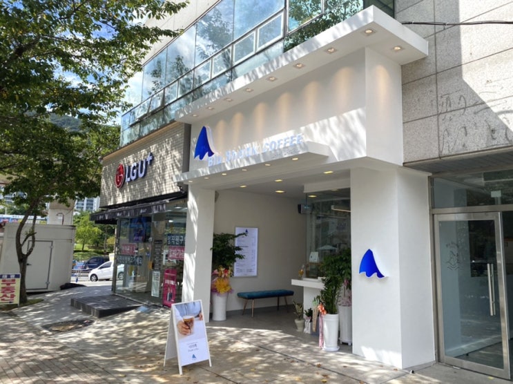 [김해 카페] 매력적인 샥라떼 보유 카페, 블루샥 김해삼계점