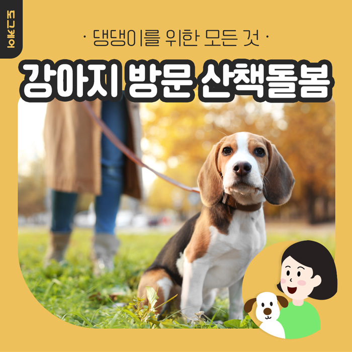  애견 출장 산책이란? / 강아지 방문 산책돌봄은 어떻게?