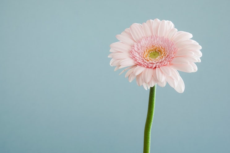  코로나상생 국민지원금 신청했어요~