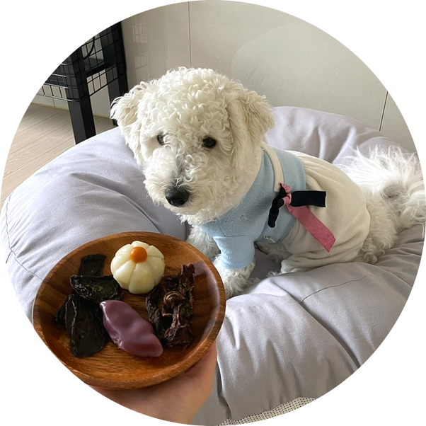  강아지 수제간식 추석간식 : 핏어펫 캥거루져키 강아지송편 소간져키