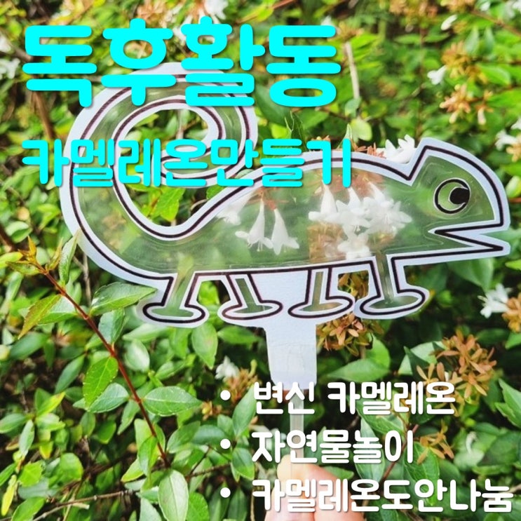  카멜레온 만들기/'뒤죽박죽 카멜레온' 아이와 독후활동(도안나눔)