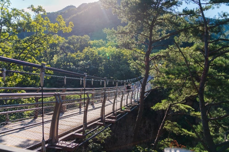  경기도 연천 핫플레이스 "재인폭포 출렁다리"