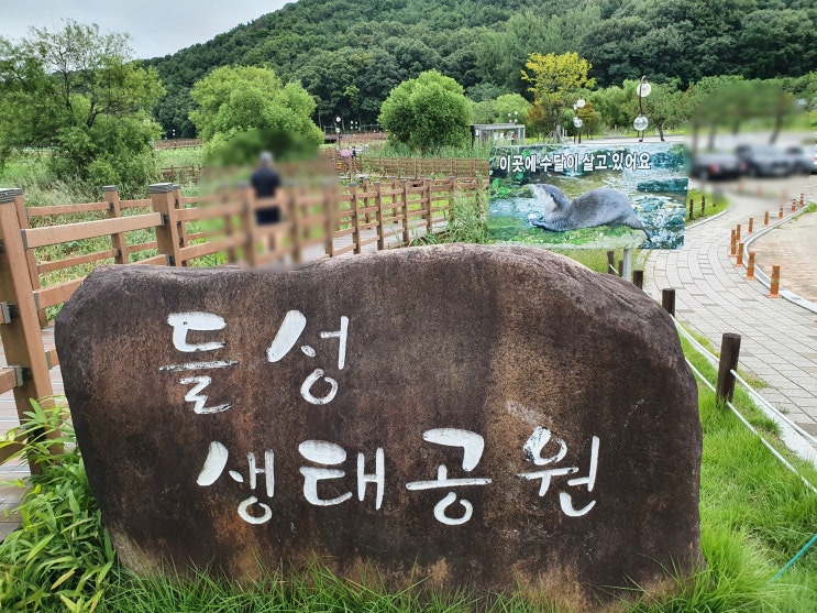  구미 가볼 만한 곳 문성지 들성생태공원 비 오는 날 걷기 좋아요!