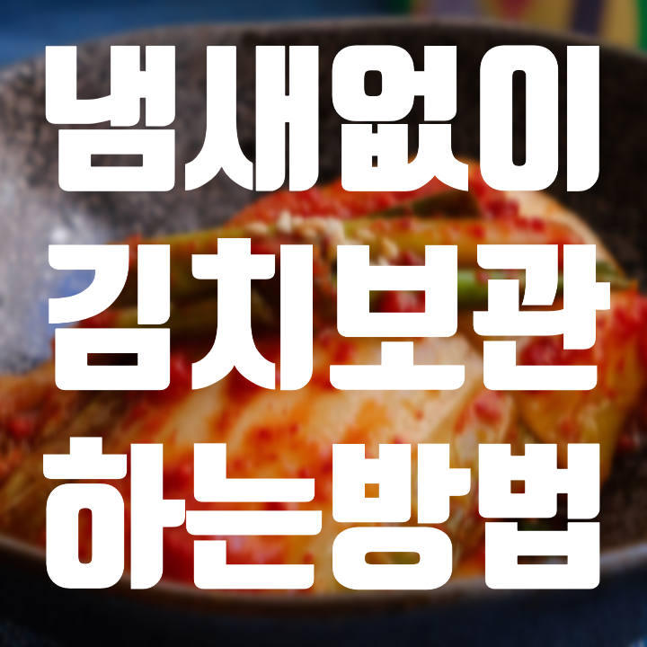  [자취꿀팁]냉장고에 김치 냄새안나게 김치 보관하는 방법