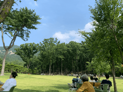  파크 프리베 서울에서 차로 30분 초대형 정원 카페