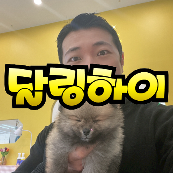  강남강아지분양 쾌적한 환경에서 자란