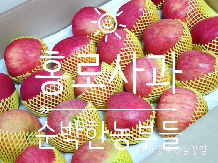  청송 홍로 사과 순박한농부들 명절선물로 딱이야!!