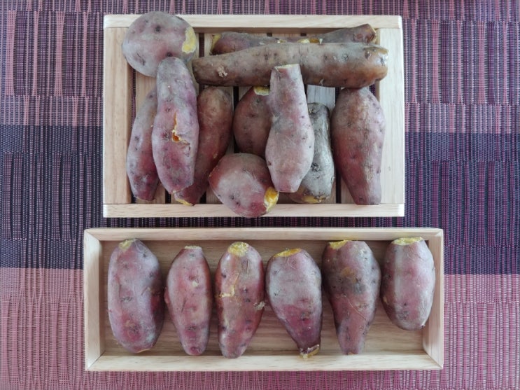  밤고구마와 호박고구마의 장점 쏙쏙 베니하루카 해남황토고구마