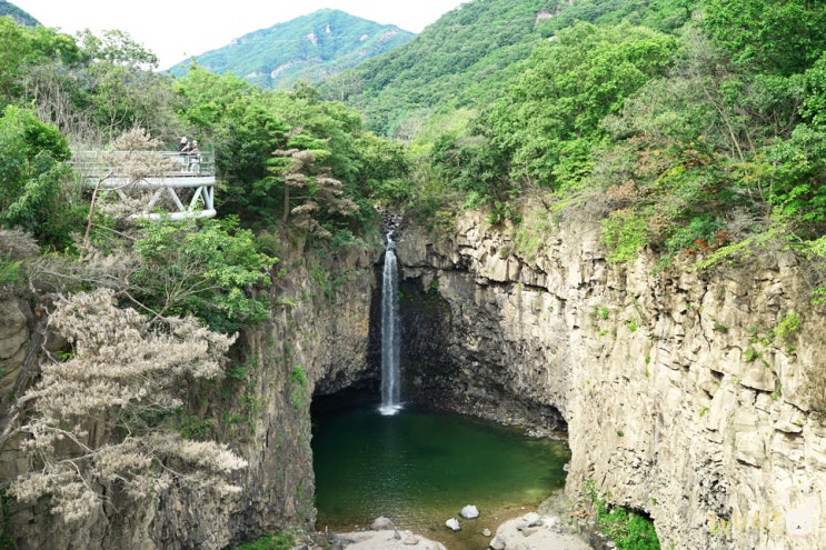연천 재인폭포 주상절리 서울근교 드라이브코스 연천 재인폭포 주상절리 서울근교 드라이브코스