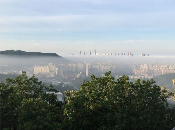  대한민국의 신도시!!(신도시 기준, 면적, 등)