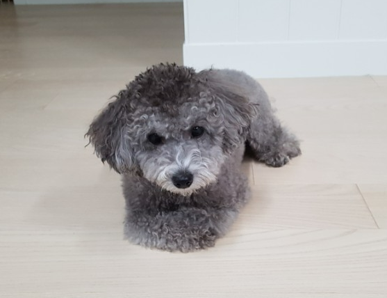  홈페이지형 블로그로 변경했습니다. (진행형)