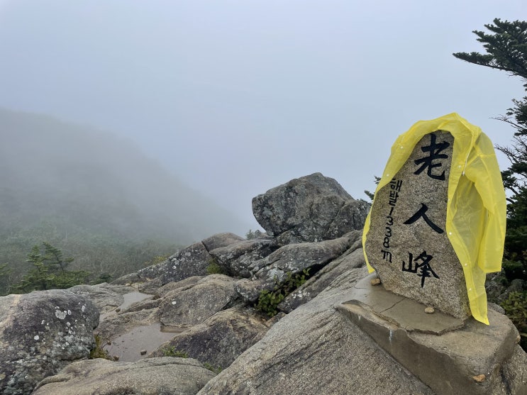 오대산 노인봉 최단코스, 오대산국립공원 등산코스