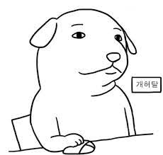  안녕하세요 요즘 인생 현타 온 서긔입니다