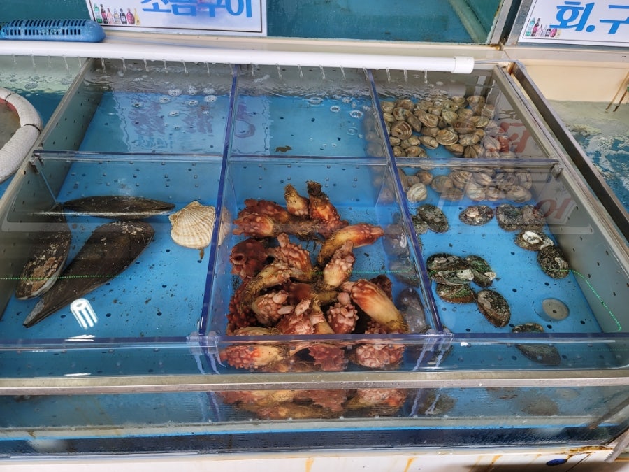 수덕호 사진 3