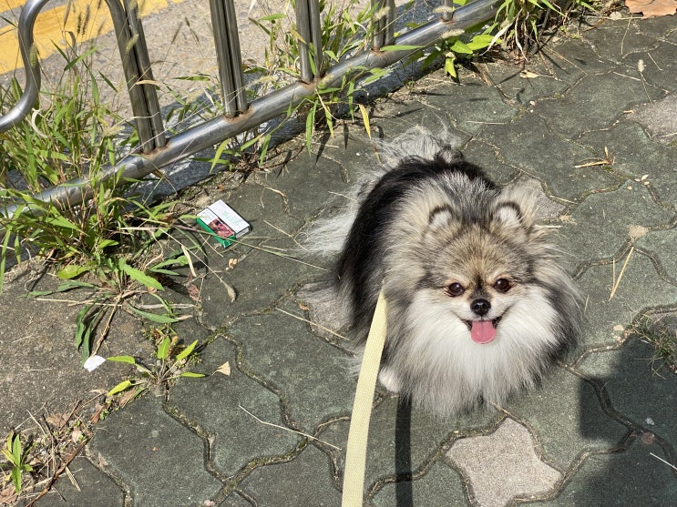  평범한 토요일