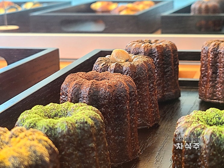  대전 도안빵집 까눌레 맛집 도안양과점