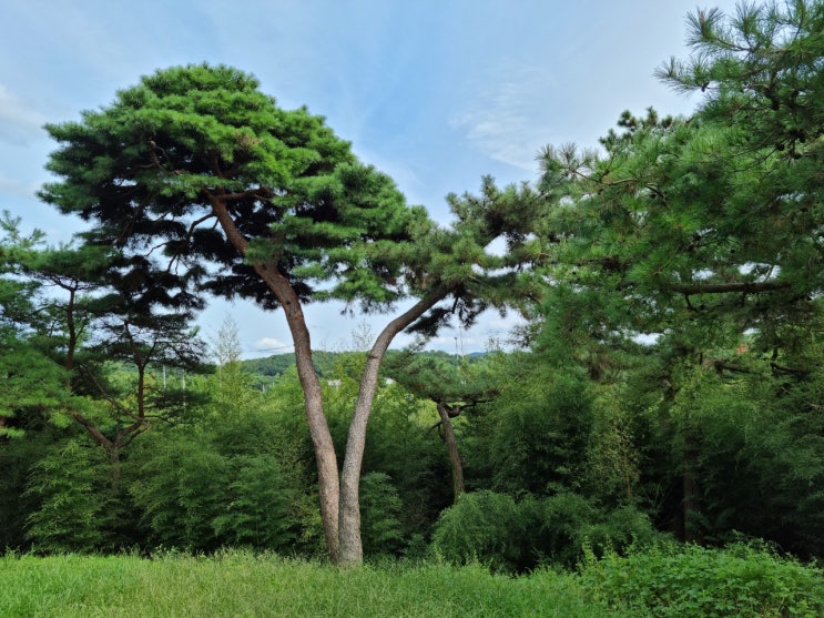 편안한 좋은 사람