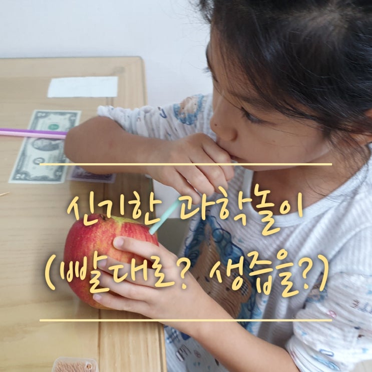  빨대는 강력한 막대!!사과에 빨대를 꽂아볼까?!(신기한과학놀이,초등과학놀이,집콕놀이,사과 빨대 꽂기,공기의힘)