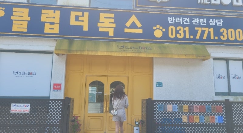 사진 3