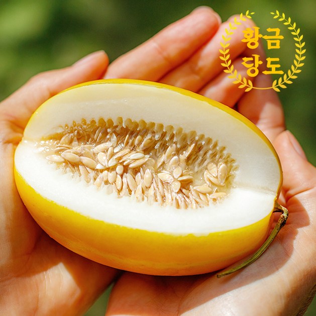 인기 많은 40년 명장의 산지직송 고당도 성주 참외 못난이 가정용 흠과 3kg 5kg 내외, 06.성주 꿀참외4.5kg(랜덤과) 추천합니다 인기 많은 40년 명장의 산지직송 고당도 성주 참외 못난이 가정용 흠과 3kg 5kg 내외, 06.성주 꿀참외4.5kg(랜덤과) 추천합니다