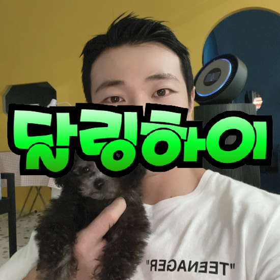  송파강아지분양 귀여운 토이푸들 입양하기