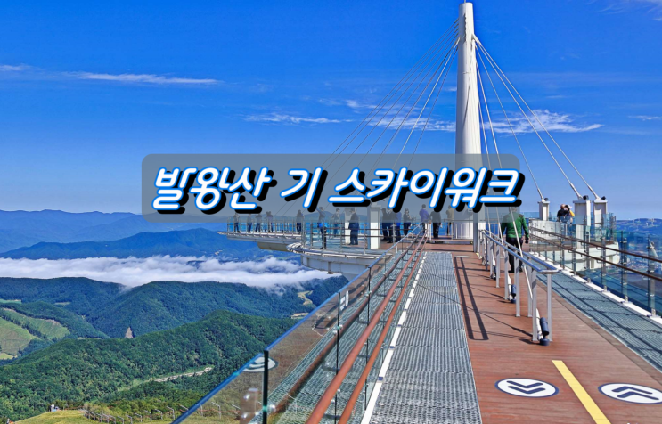 평창 초가을여행지 발왕산 氣 스카이워크 평창 초가을여행지 발왕산 氣 스카이워크
