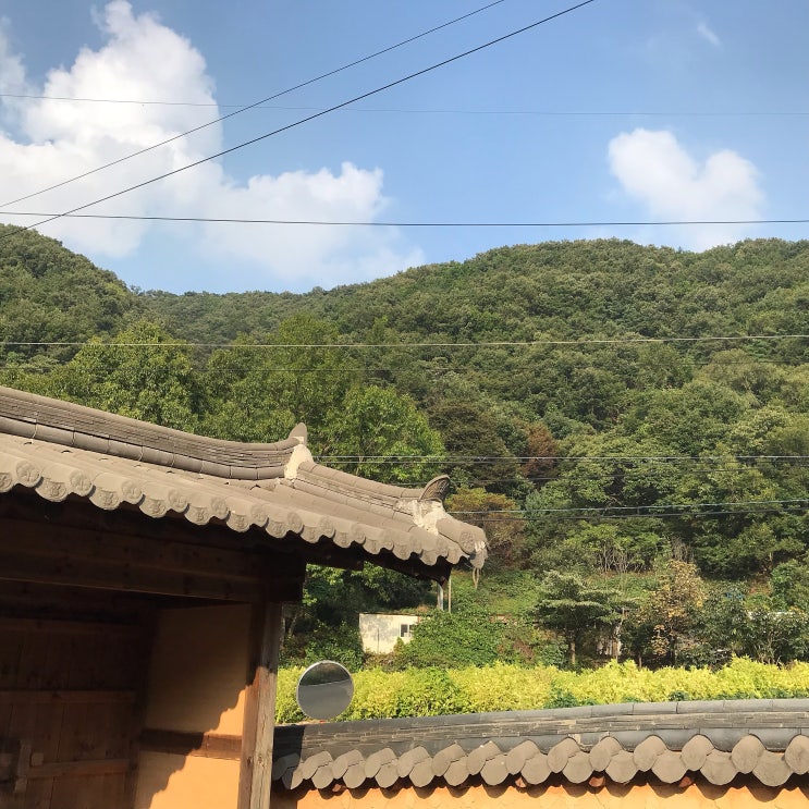  안성 한옥 펜션ㅣ거먹골 펜션 (사랑채 작은방 후기, 산 속 한옥 숙소에서 힐링)