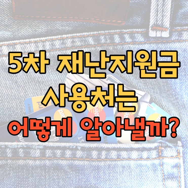  [5차 재난지원금] 사용처가 궁금하시죠?