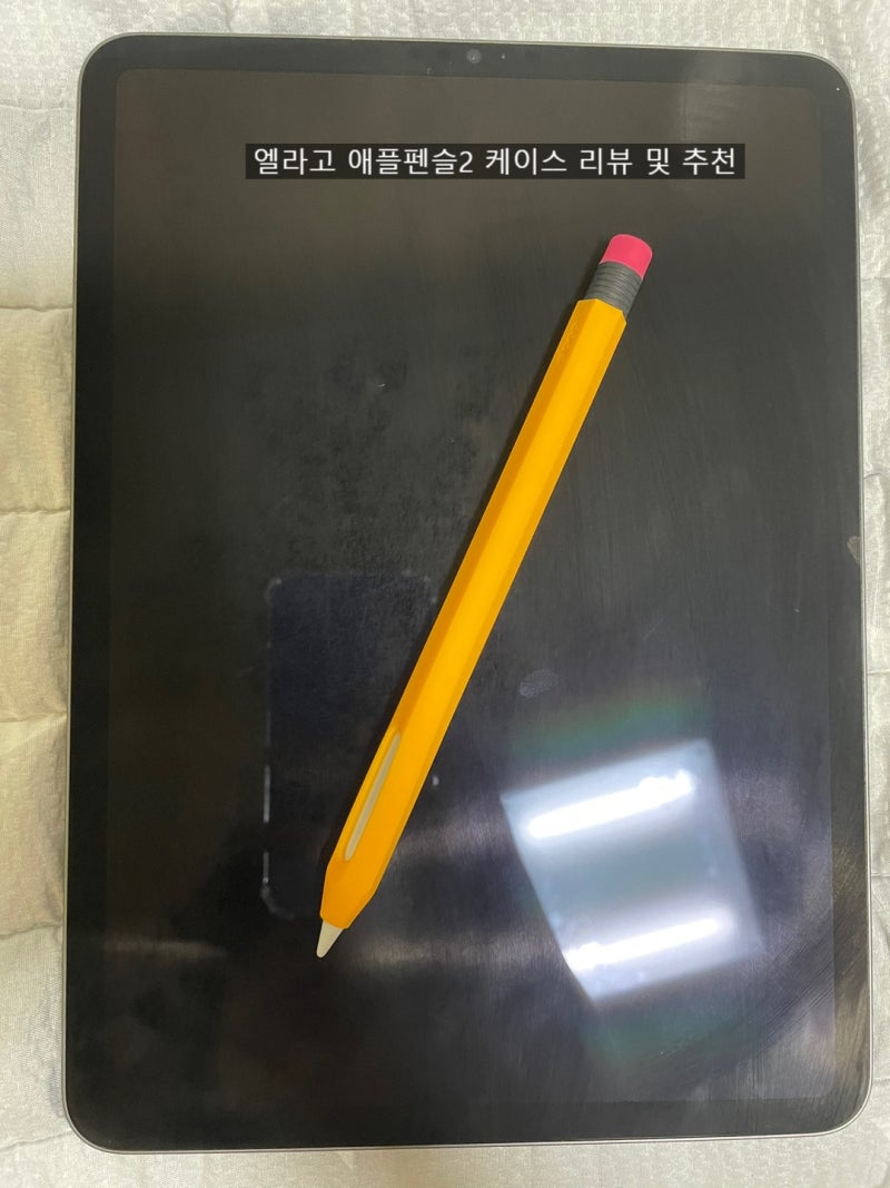 엘라고(elago) 애플 펜슬 케이스 사용 및 리뷰