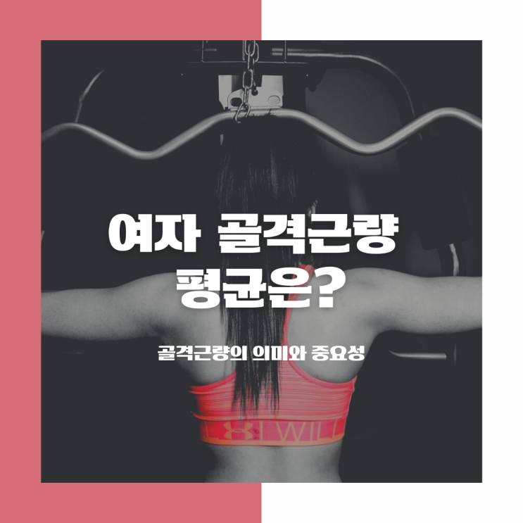  여자 골격근량 평균은? 운동 5개월차 인바디 결과로 골격근량의 의미와 중요성 알아보기
